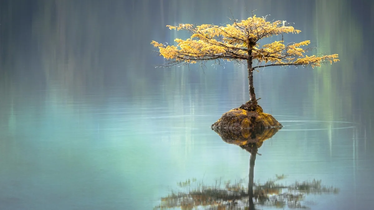 Complete Guide to Focus Meditation
